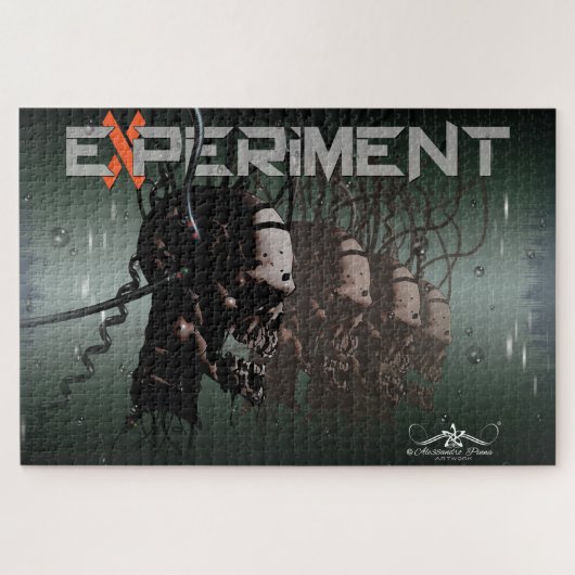 EXPERIMENT PUZZLE (Horizontal)