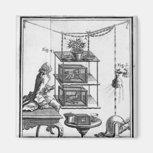 Experimentieren mit Elektrizität Magnet (Vorne)