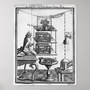 Experimentieren mit Elektrizität Poster