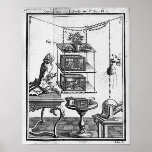 Experimentieren mit Elektrizität Poster (Vorne)