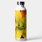 Explodierender Star Trinkflasche (links)