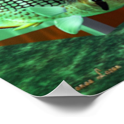 Exploration 3D Aquarium ORCA Poster (Ecke)