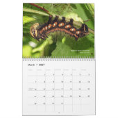 Explore Ohio Outdoors Wildlife of Ohio Calendar Kalender (Mär 2027)