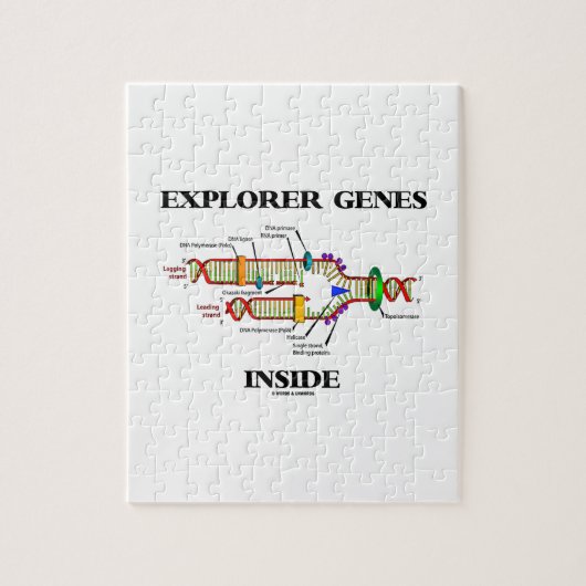 Explorer-Gene Inside (DNA-Replikation) Puzzle (Vertikal)