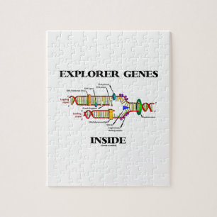Explorer Genes Inside (DNA-Replikation) Puzzle
