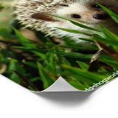 Explorer-Poster Poster (Ecke)