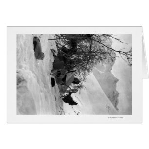 Explorer-Zelt und -Anhänger am Campingplatz