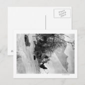 Explorer-Zelt und -Anhänger am Campingplatz Postkarte (Vorne/Hinten)