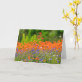 Explosion der Farbe Karte (Gelbe Blume)