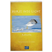 Explosion des Lichtes Kalender (Titelbild)