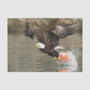 Explosiver Weißkopfseeadler Seidenpapier