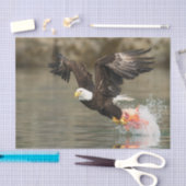 Explosiver Weißkopfseeadler Seidenpapier (Handwerk)