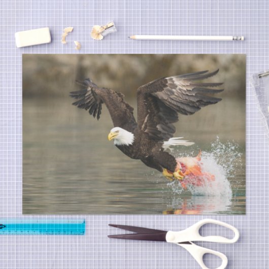 Explosiver Weißkopfseeadler Seidenpapier (Handwerk)