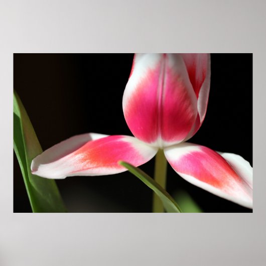 exponiert poster (Vorne)