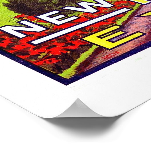 Exposition San Diego 1916 Poster (Ecke)