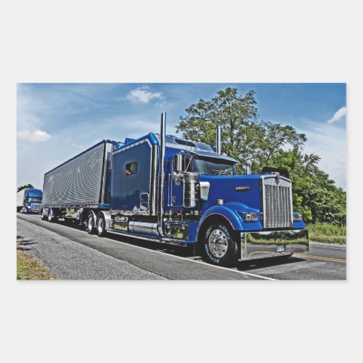 Express-Aufkleber für Pferde und Buggy Rechteckiger Aufkleber (Vorderseite)