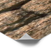 Express-Triebfahrzeugführer Poster (Ecke)