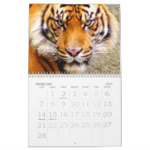 Expression_2010-Kalender für Tiger & Löwen Kalender (Feb 2027)