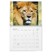 Expression_2010-Kalender für Tiger & Löwen Kalender (Jan 2027)