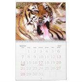Expression_2010-Kalender für Tiger & Löwen Kalender (Mär 2027)