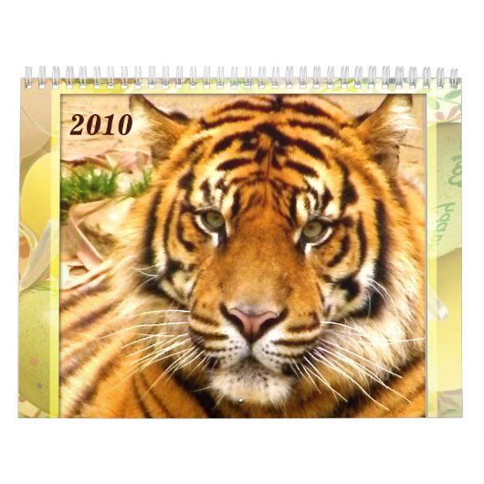 Expression_2010-Kalender für Tiger & Löwen Kalender (Titelbild)