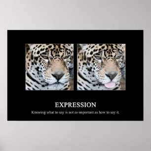 Expression Poster