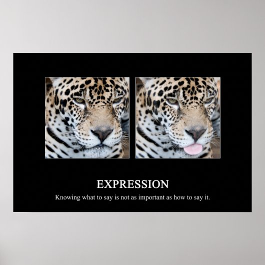 Expression Poster (Vorne)