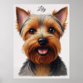 Expressive CloseUp Yorkshire Terrier Dog Portrait Poster (Vorne)