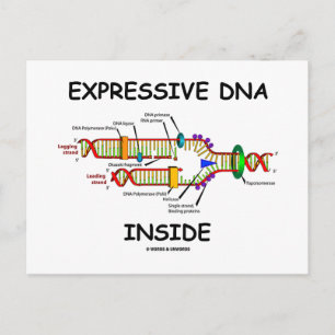 Expressive DNA Inside (DNA-Replikation) Postkarte