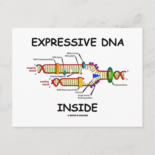 Expressive DNA Inside (DNA-Replikation) Postkarte (Vorderseite)