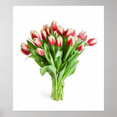 Exquisite Blume Poster - Tulpen (Vorne)