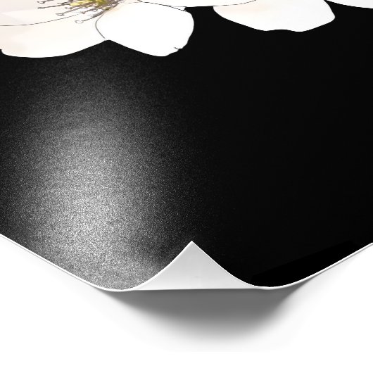 Exquisite Cherry Blossom Kunst, Dichtung und Musik Fotodruck (Ecke)