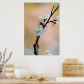 Exquisite japanische Apricot-Blume Poster (Küche)
