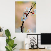 Exquisite japanische Apricot-Blume Poster (Heimbüro)