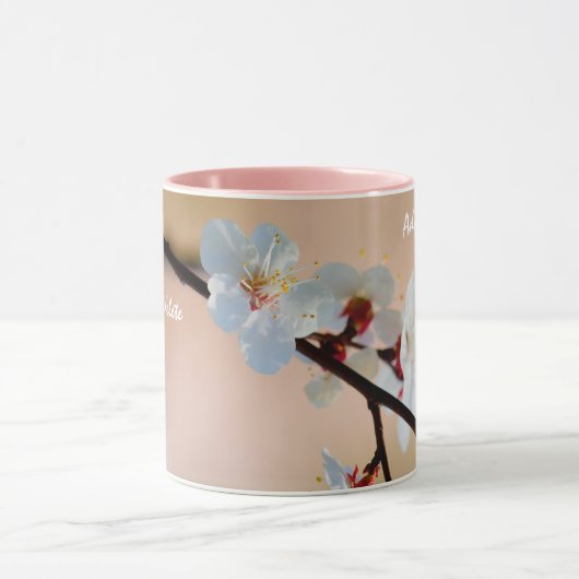Exquisite japanische Apricot-Blume Tasse (Zentrum)