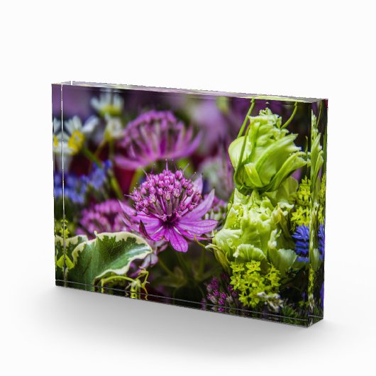 Exquisite Magie der Blüten #1 Fotoblock (Rechts)