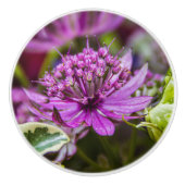 Exquisite Magie der Blüten #1 Keramikknauf (Vorderseite)