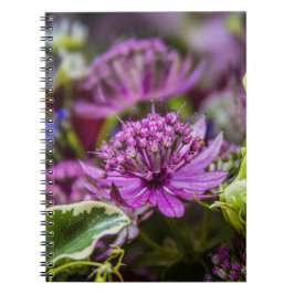 Exquisite Magie der Blüten #1 Notizblock