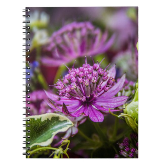 Exquisite Magie der Blüten #1 Notizblock (Vorderseite)