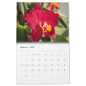 Exquisite Orchideen Kalender (Feb 2027)