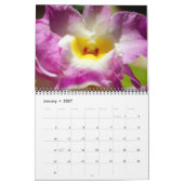 Exquisite Orchideen Kalender (Jan 2027)