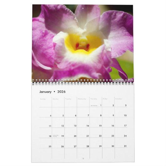 Exquisite Orchideen Kalender (Jan 2026)