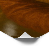 Exquisite Oriental Cat Monarch Portrait Poster (Ecke)