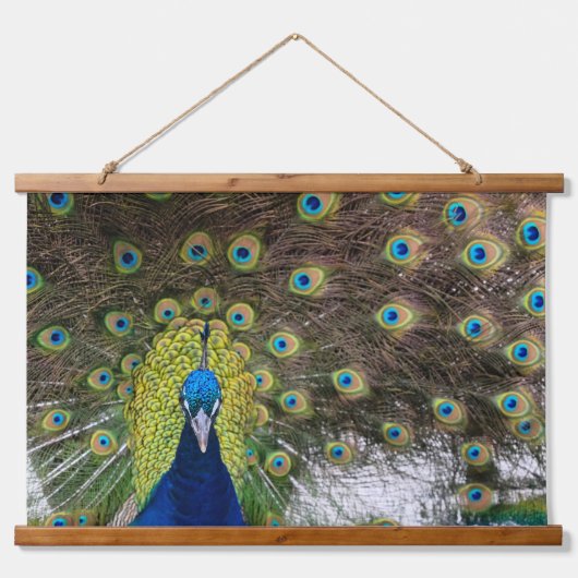 Exquisite Pfauenfeder Wandteppich Mit Holzrahmen (Vorne)