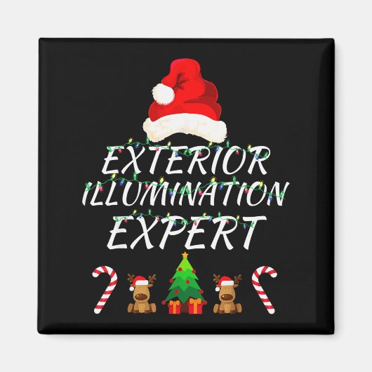 Exterior Illumination Expert Christmas Lights Deco Magnet (Vorne)