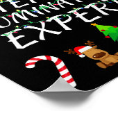 Exterior Illumination Expert Christmas Lights Deco Poster (Ecke)