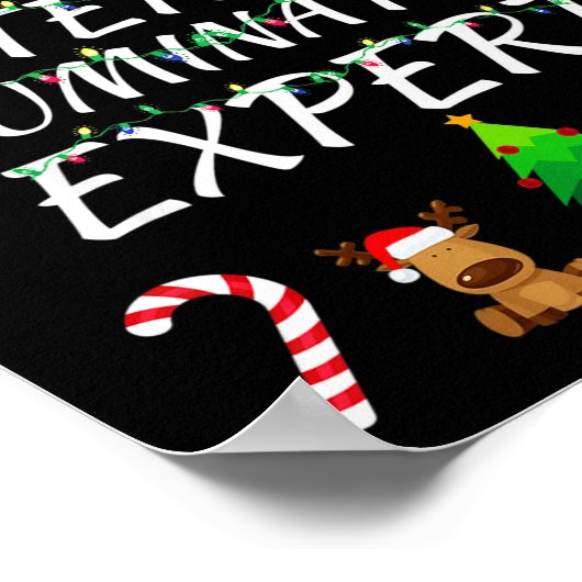 Exterior Illumination Expert Christmas Lights Deco Poster (Ecke)