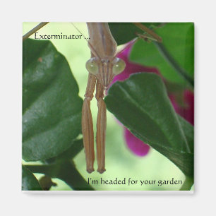 Exterminator-Magnet Magnet