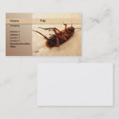 Exterminator Visitenkarte (Vorne/Hinten)