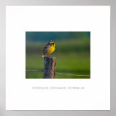 Externalisieren, Externalisieren, Externalisieren Poster (Vorne)